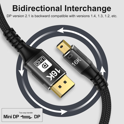 Mini DisplayPort to DisplayPort 16K Cable 2m 80Gbps Bidirectional – Black