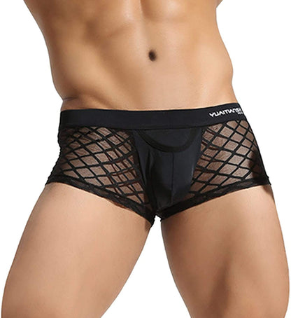 Men's Fishnet Sheer Boxer Briefs Mesh Stripe Transparent Underwear - L