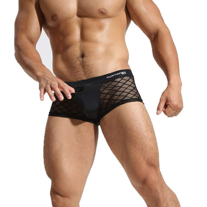 Men's Fishnet Sheer Boxer Briefs Mesh Stripe Transparent Underwear - L
